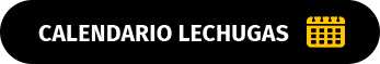 Calendario