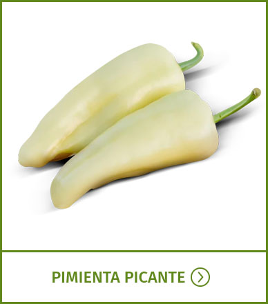 westar